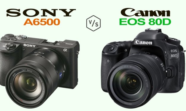 DSLR vs Mirrorless Cameras, which one should you buy?